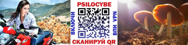 Псилоцибиновые грибы мухоморы  Купить закладки  Ногинск 